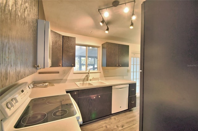 kitchen featuring dark brown cabinets, sink, white appliances, and light hardwood / wood-style floors