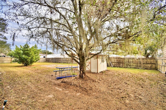 view of yard with a shed