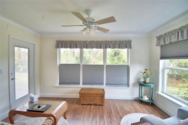 interior space featuring a wealth of natural light and ceiling fan