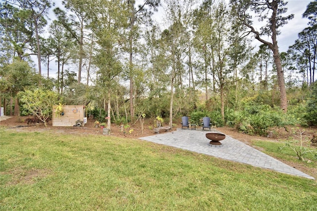 view of yard featuring a fire pit, a patio, and an outbuilding