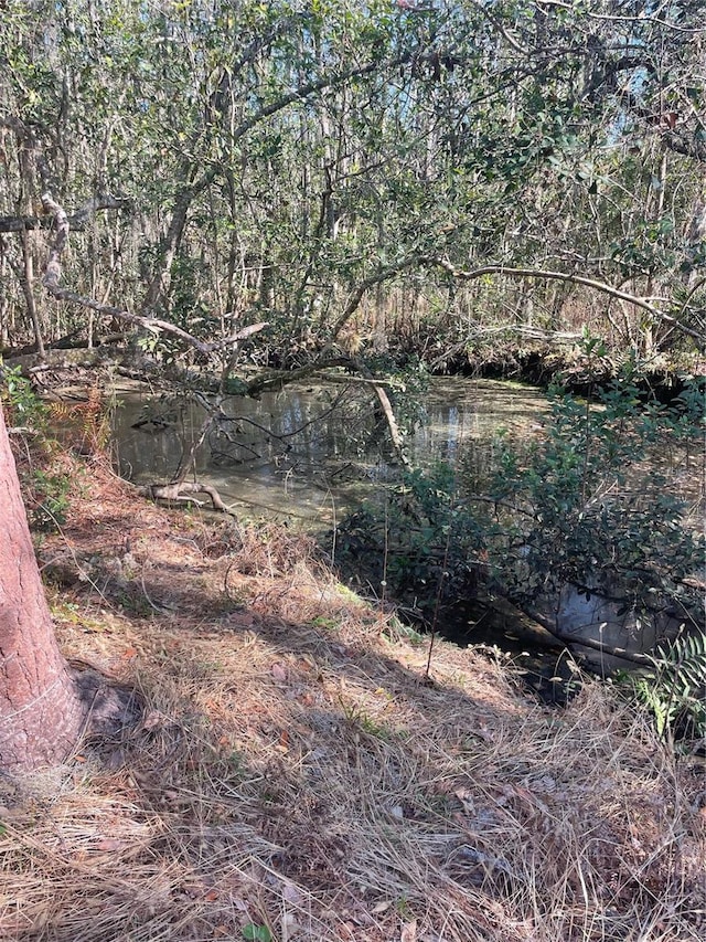 view of nature featuring a water view