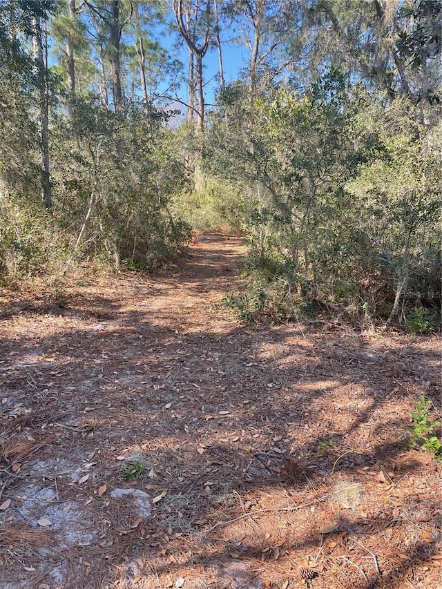 112 Reedy Creek Dr, Frostproof, FL 33843 - view of nature