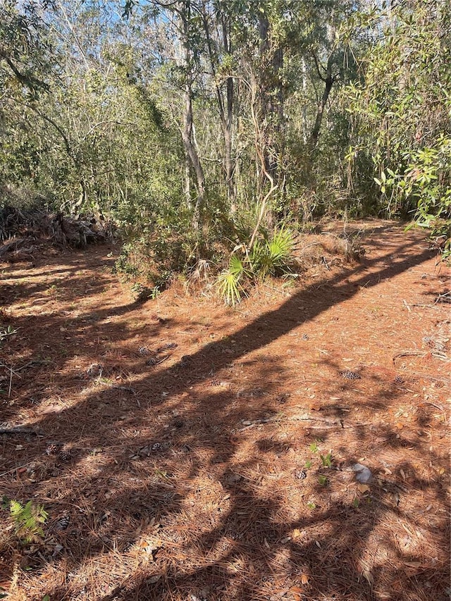 112 Reedy Creek Dr, Frostproof, FL 33843 - view of undeveloped land