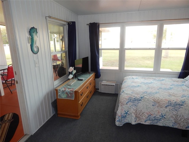 carpeted bedroom with multiple windows