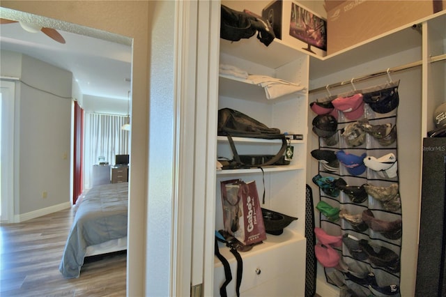 spacious closet with wood finished floors