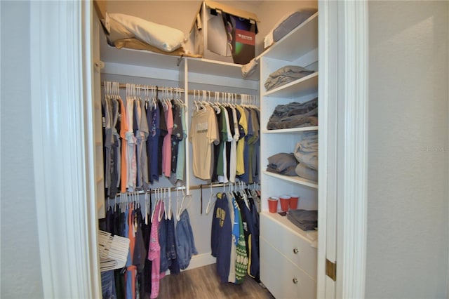 spacious closet with wood finished floors