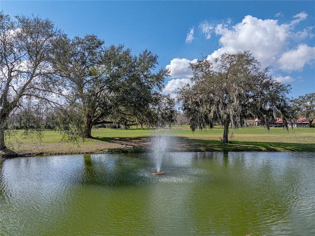 view of water feature