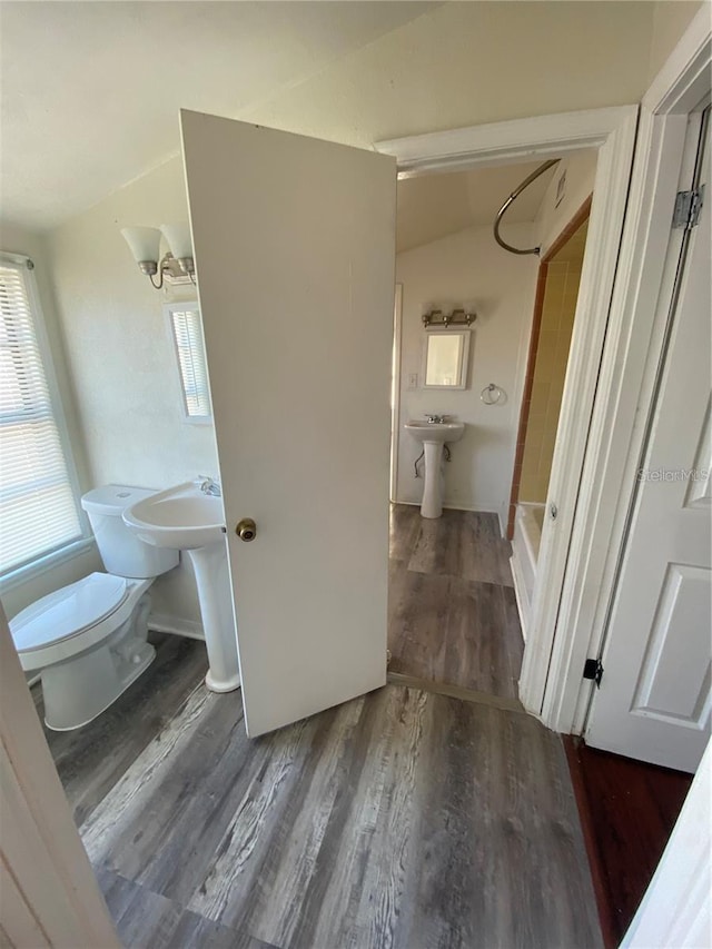 bathroom featuring a healthy amount of sunlight, vaulted ceiling, and wood-type flooring