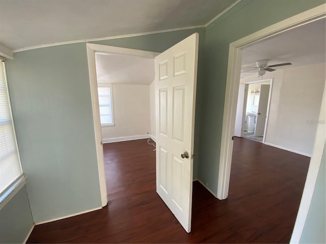 corridor with crown molding and dark wood-type flooring