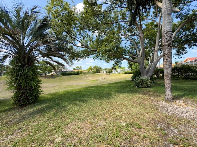view of yard