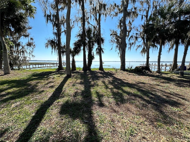 view of yard with a water view