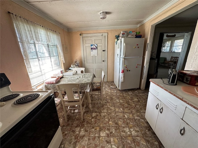 kitchen featuring freestanding refrigerator, white cabinetry, plenty of natural light, and range with electric cooktop