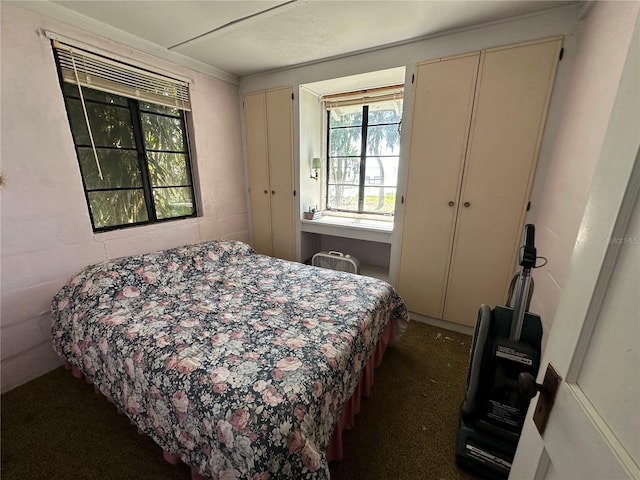 bedroom with dark carpet and two closets