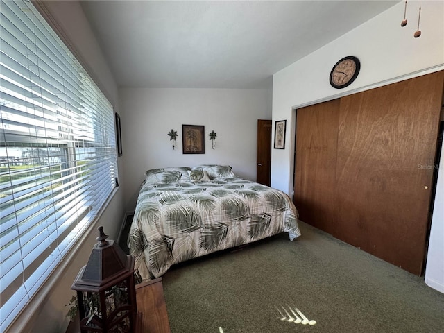 carpeted bedroom with a closet