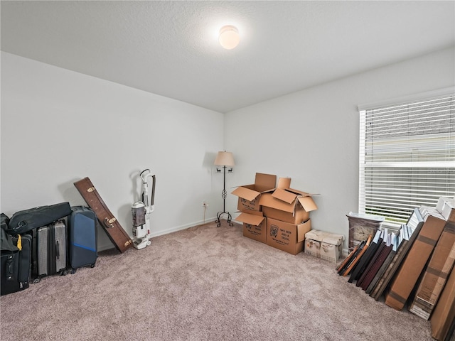 misc room with carpet flooring