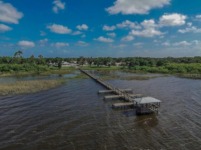dock area featuring a water view