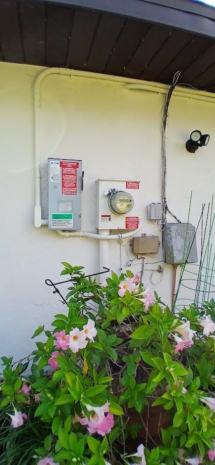 exterior details with electric meter