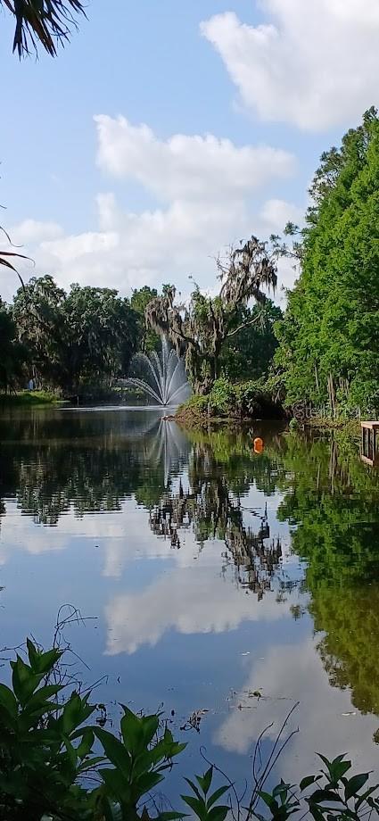 view of water feature