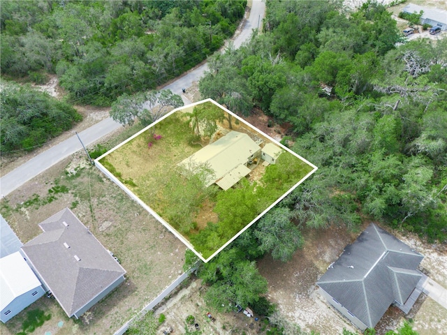drone / aerial view