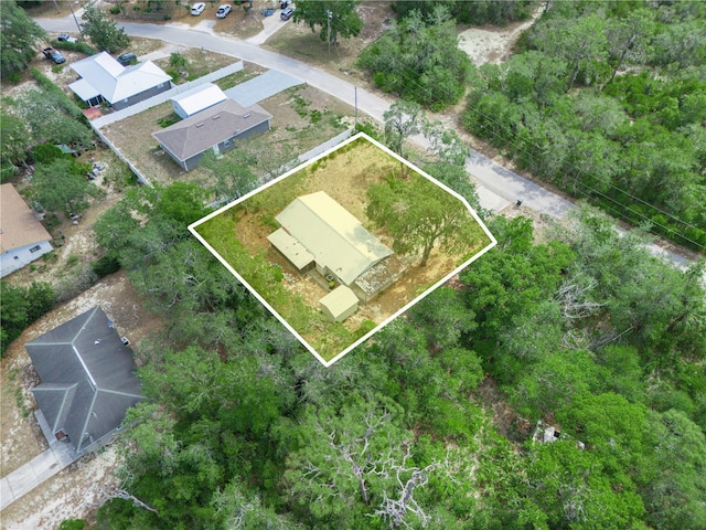 drone / aerial view