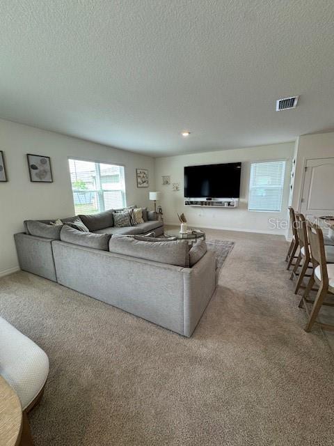 carpeted living area featuring a textured ceiling