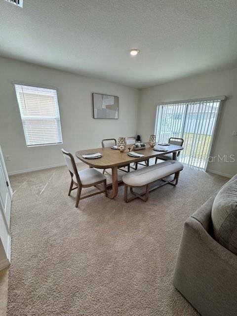 dining room featuring light colored carpet, a textured ceiling, and baseboards