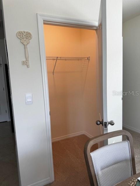spacious closet with carpet