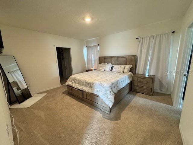 bedroom with carpet floors