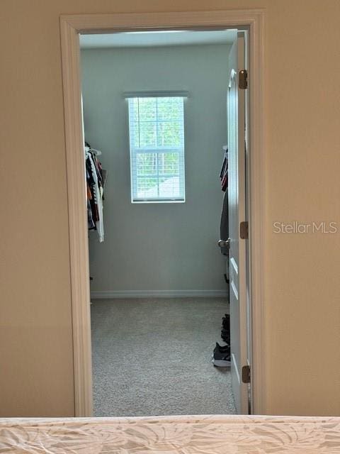 spacious closet with carpet floors