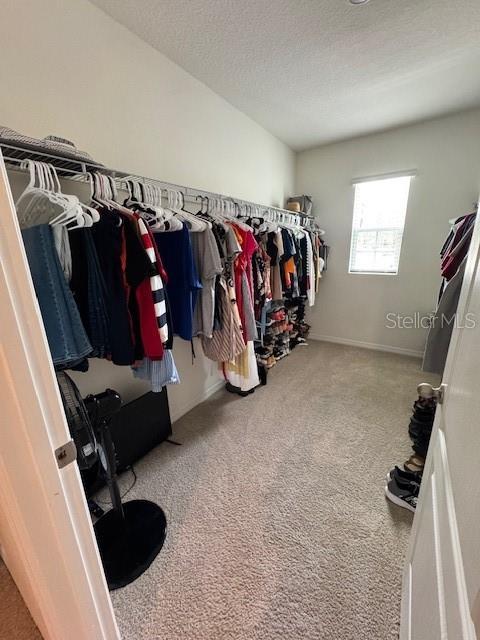 walk in closet featuring carpet flooring