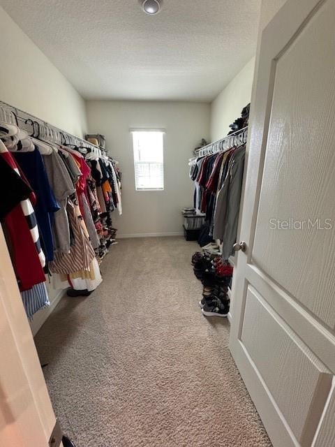 walk in closet with carpet
