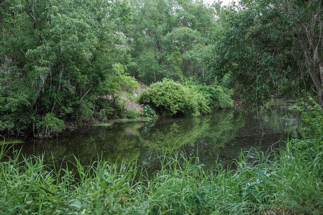 4725 Kayworth Rd, Lake Wales, FL 33898 - view of local wilderness