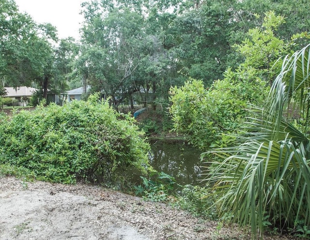 4725 Kayworth Rd, Lake Wales, FL 33898 - view of yard