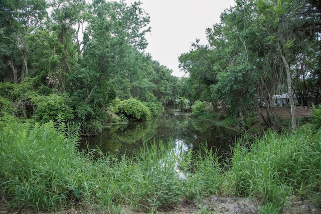 4725 Kayworth Rd, Lake Wales, FL 33898 - view of local wilderness