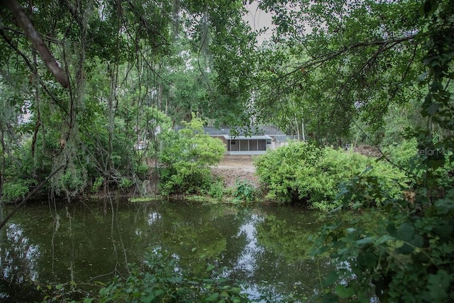 4725 Kayworth Rd, Lake Wales, FL 33898 - water view with a heavily wooded area
