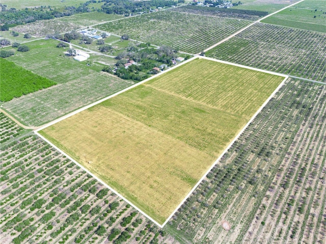 Maxcy Quarters Rd, Frostproof, FL 33843 - photo 4