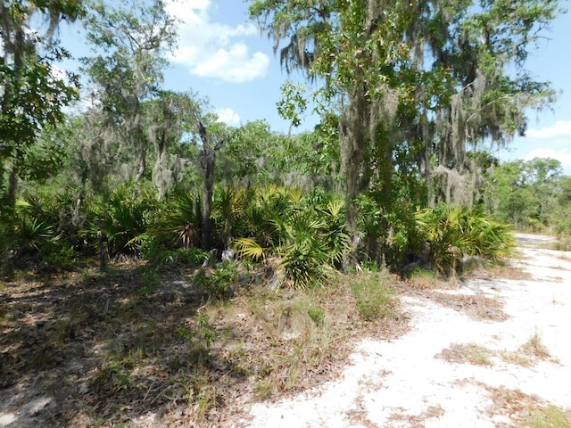3201 Scrub Oak Ln, Lake Wales, FL 33898