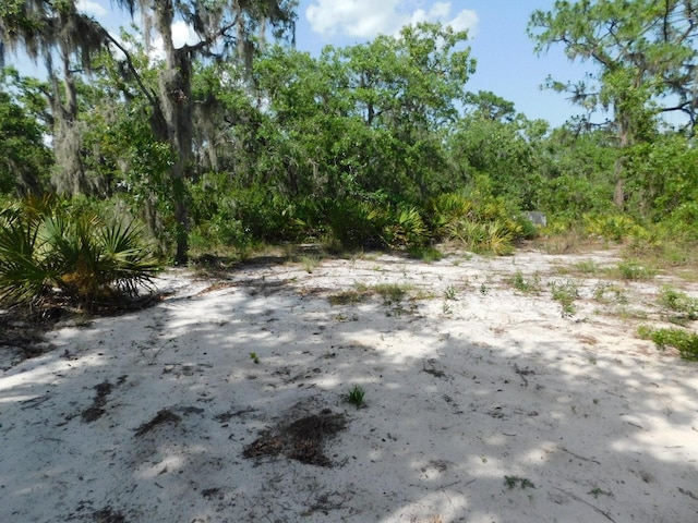 3201 Scrub Oak Ln, Lake Wales, FL 33898