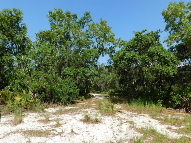 3201 Scrub Oak Ln, Lake Wales, FL 33898