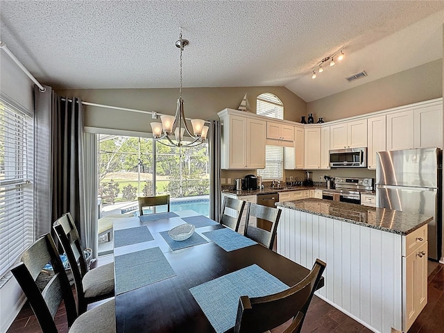2696 Hemingway Ave, Haines City, FL 33844 - kitchen with appliances with stainless steel finishes, vaulted ceiling, a chandelier, dark wood finished floors, and plenty of natural light