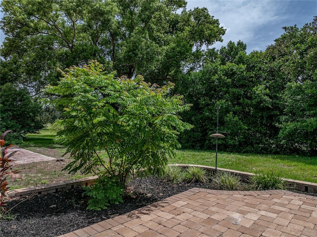 503 Clubhouse Dr, Lake Wales, FL 33898 - photo 44