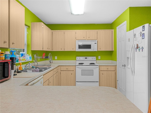 4846 Mac Donald St, Lake Wales, FL 33859 - photo 5