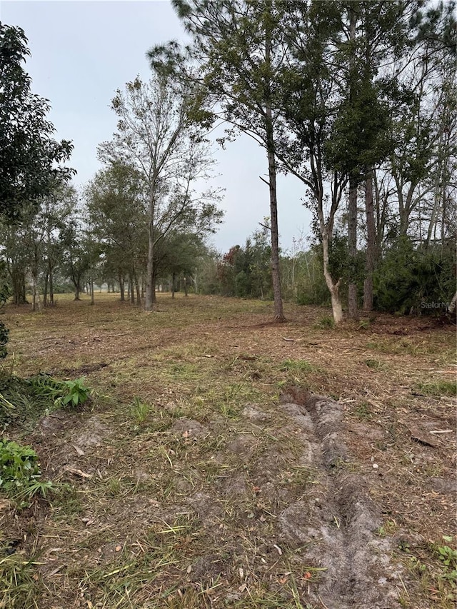 W Frostproof Rd, Frostproof, FL 33843 - photo 3