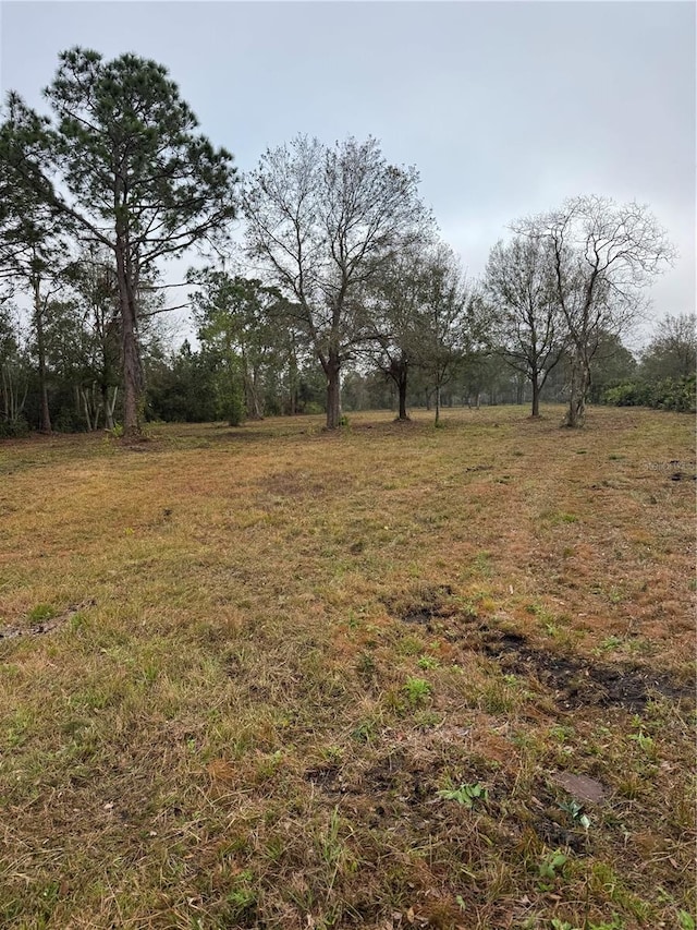 W Frostproof Rd, Frostproof, FL 33843 - photo 4