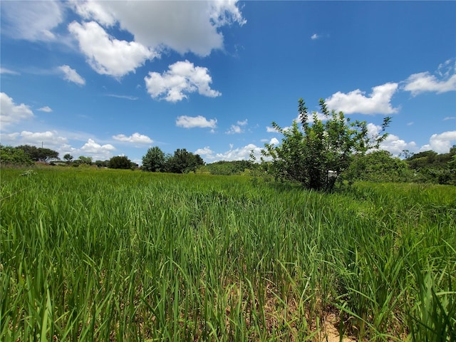 Woodland Ave, Lakeland, FL 33801