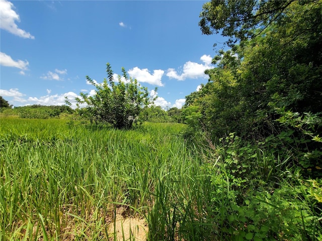 Woodland Ave, Lakeland, FL 33801