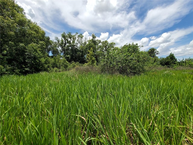 Woodland Ave, Lakeland, FL 33801