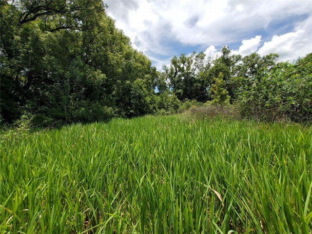 Woodland Ave, Lakeland, FL 33801