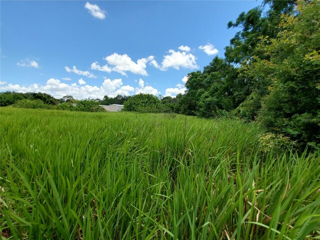Woodland Ave, Lakeland, FL 33801