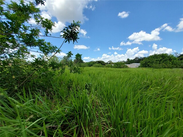 Woodland Ave, Lakeland, FL 33801